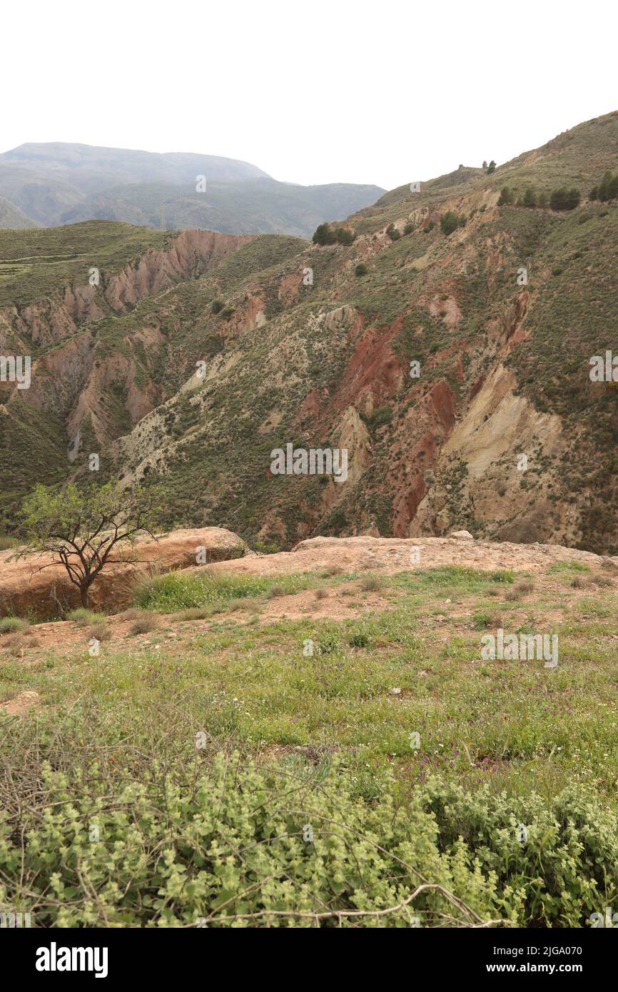Rock formation forest path hi-res stock photography and images - Alamy