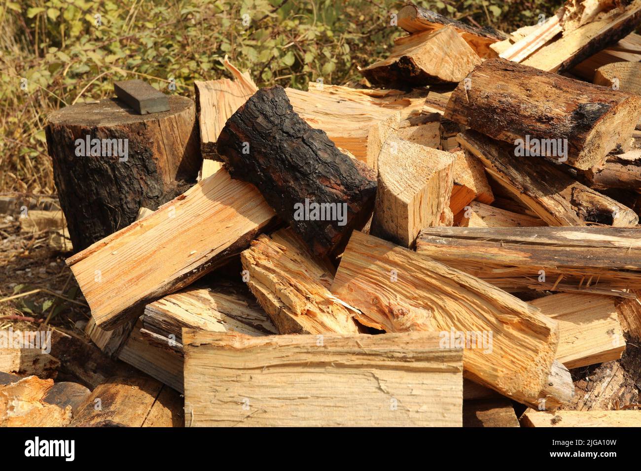 Pile of logs of wood Stock Photo Alamy