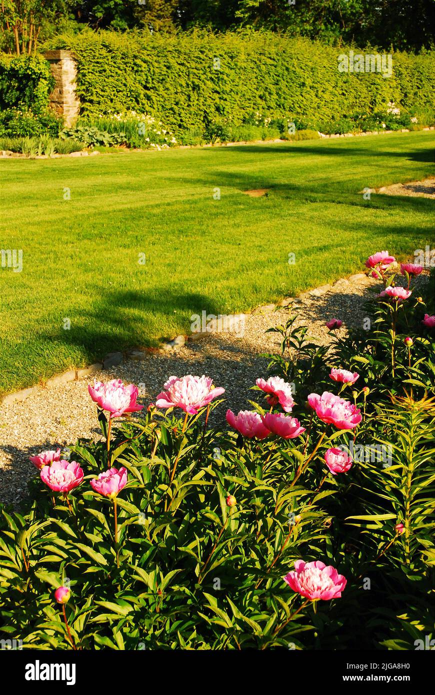 Pretty flowers grow in a walled formal garden on the estate of