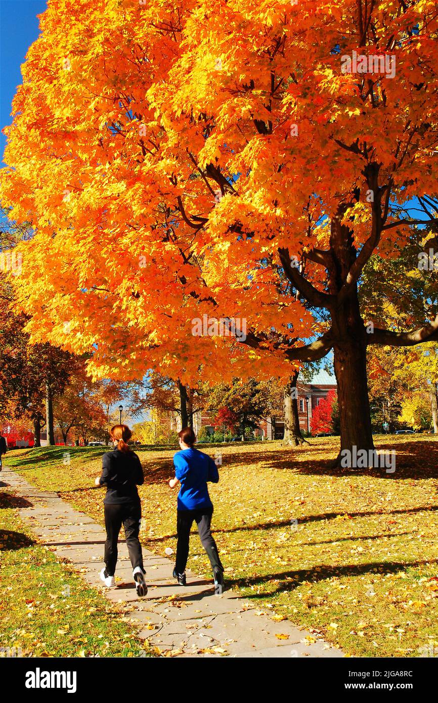 Women healthy autumn hi-res stock photography and images - Alamy