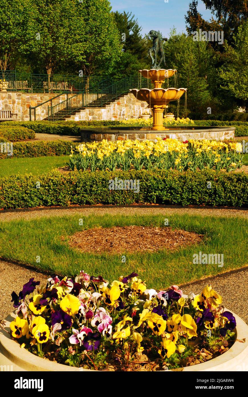 A formal wall garden is full of daffodils, poppies and assorted spring