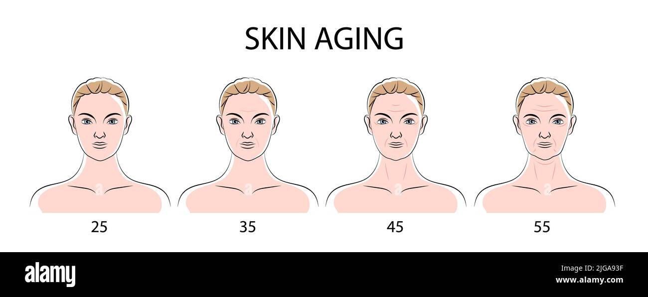 Skin aging poster with human female faces front view from twenty five to fifty five years flat vector illustration Stock Vector