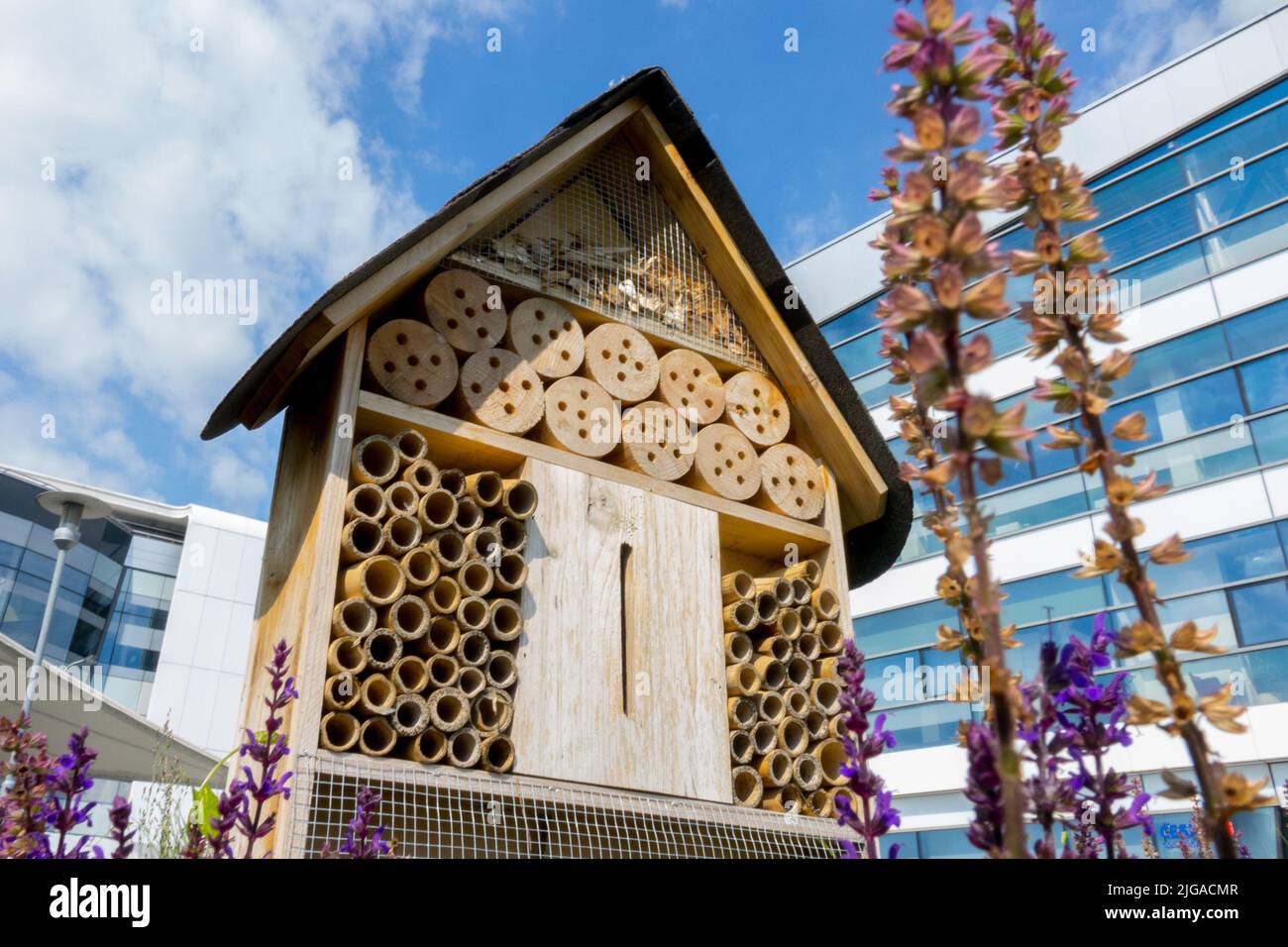 Insect hotel, Bee hotel, Bug hotel, Suburban Refuge House for Environmentally friendly Insects, Urban, Beneficial insects Stock Photo