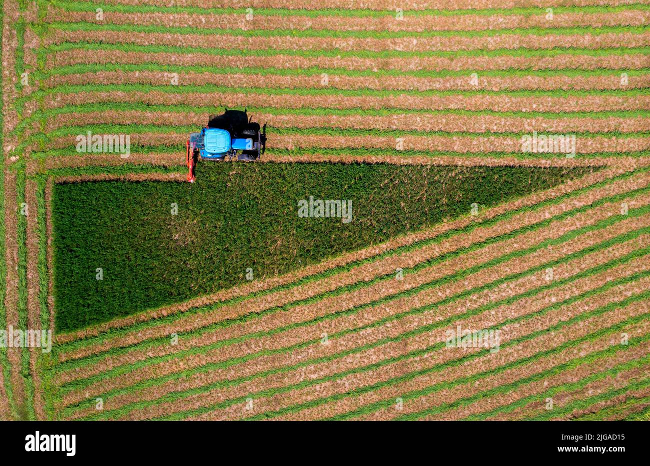 Agricultural field, farmers are working in farming land Stock Photo Alamy