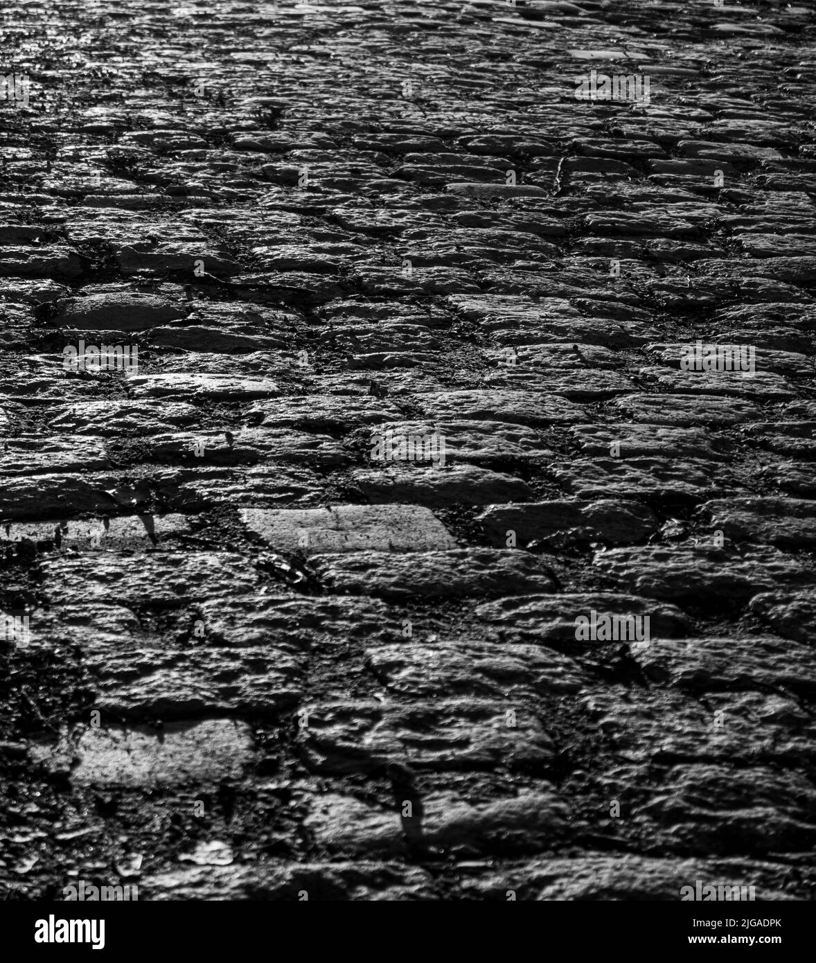 A vertical grayscale of the cobblestone street Stock Photo