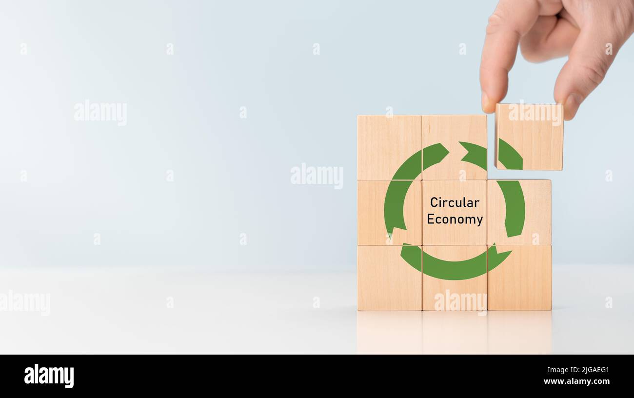 Circular economy concept, recycle, environment, manufacturing, waste, resources. LCA Life cycle assessment. Sustainability Wooden cubes. symbol of cir Stock Photo