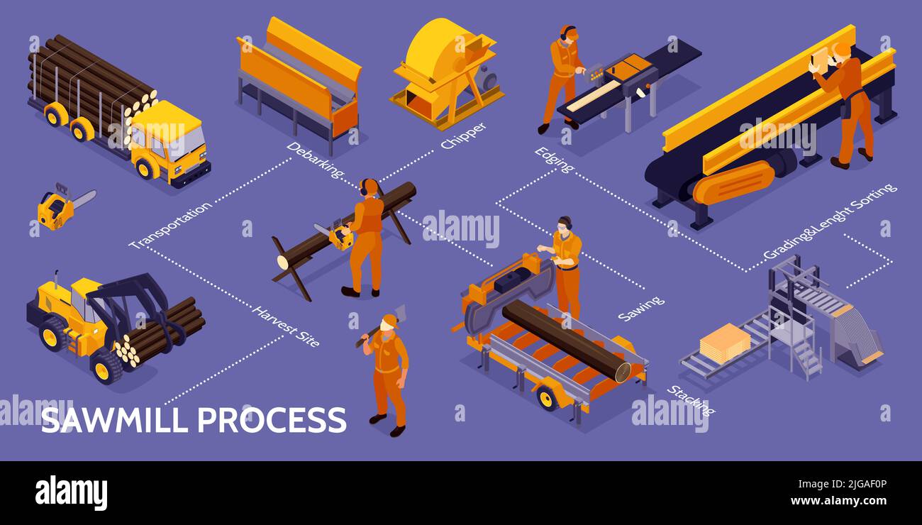 Isometric sawmill lumberjack infographic with sawmill process chipper debarking transportation harvest site and other steps vector illustration Stock Vector
