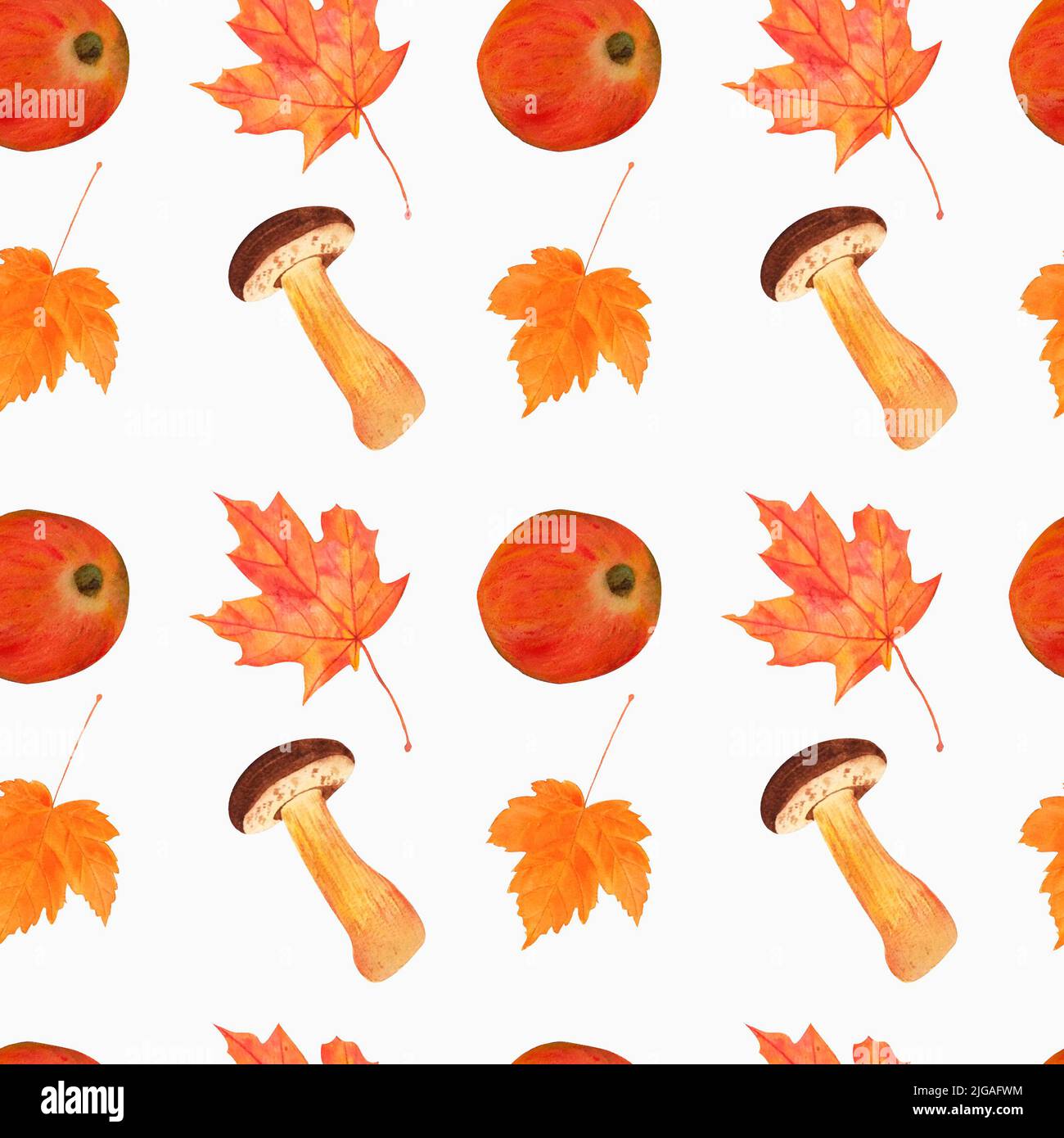 seamless watercolor pattern of illustrations of mushrooms, juicy ripe red apple, maple leaf. On white background. autumn illustration, hand drawn. Per Stock Photo