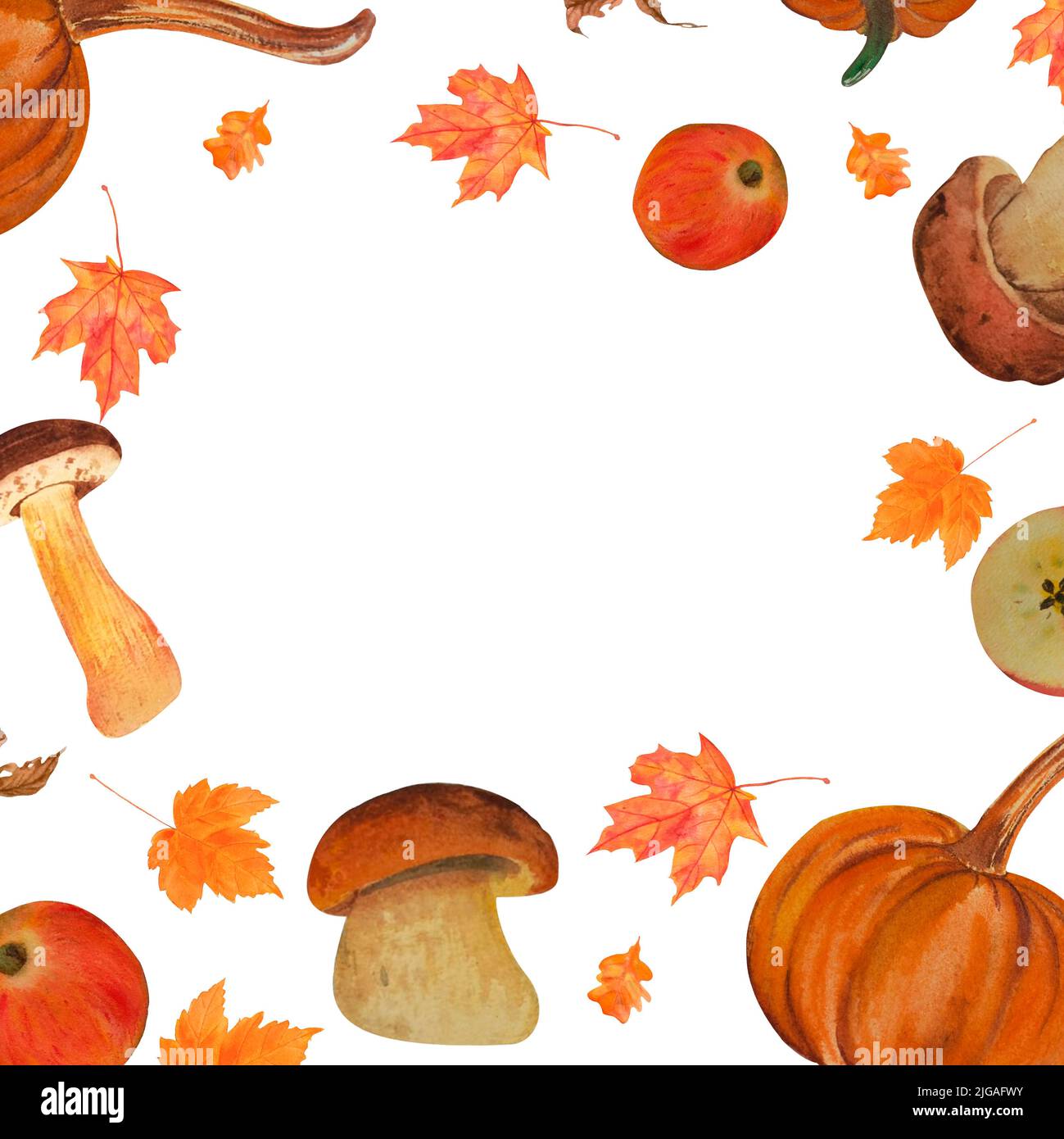 seamless watercolor pattern of illustrations of mushrooms, juicy ripe red apple, orange pumpkin, maple leaf. On white background. autumn illustration, Stock Photo