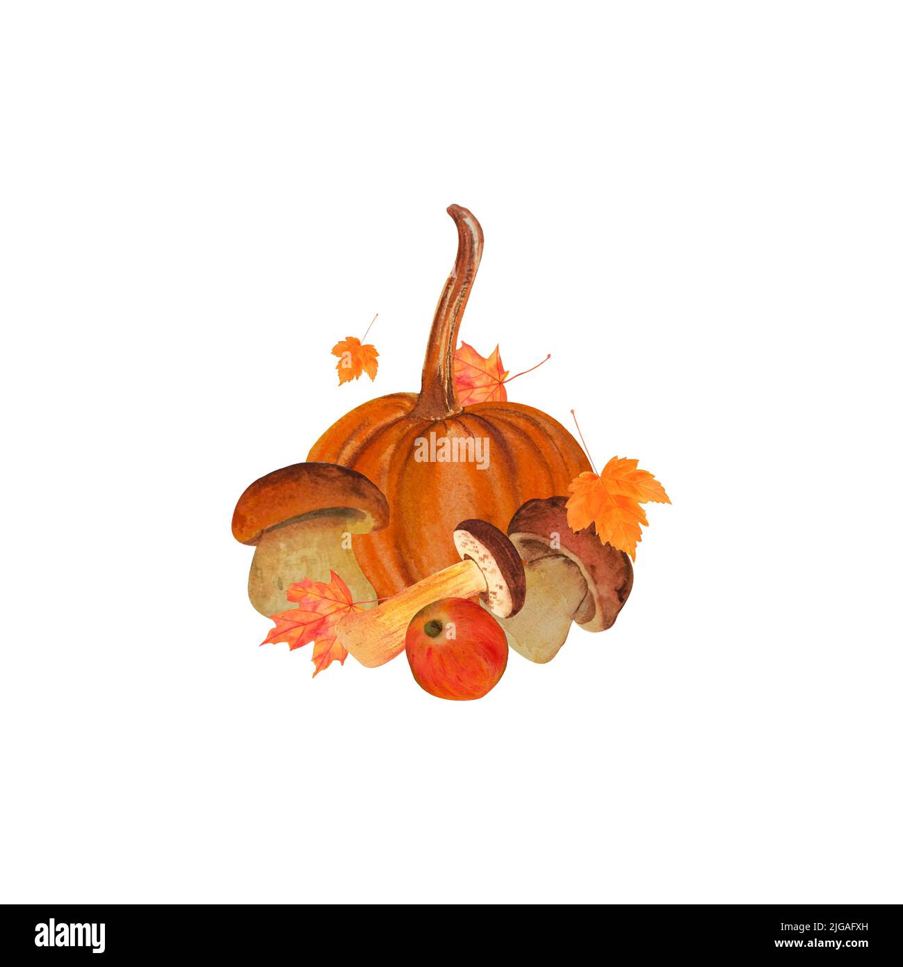 seamless watercolor illustrations of mushrooms, juicy ripe red apple, orange pumpkin, maple leaf. On white background. autumn illustration, hand drawn Stock Photo
