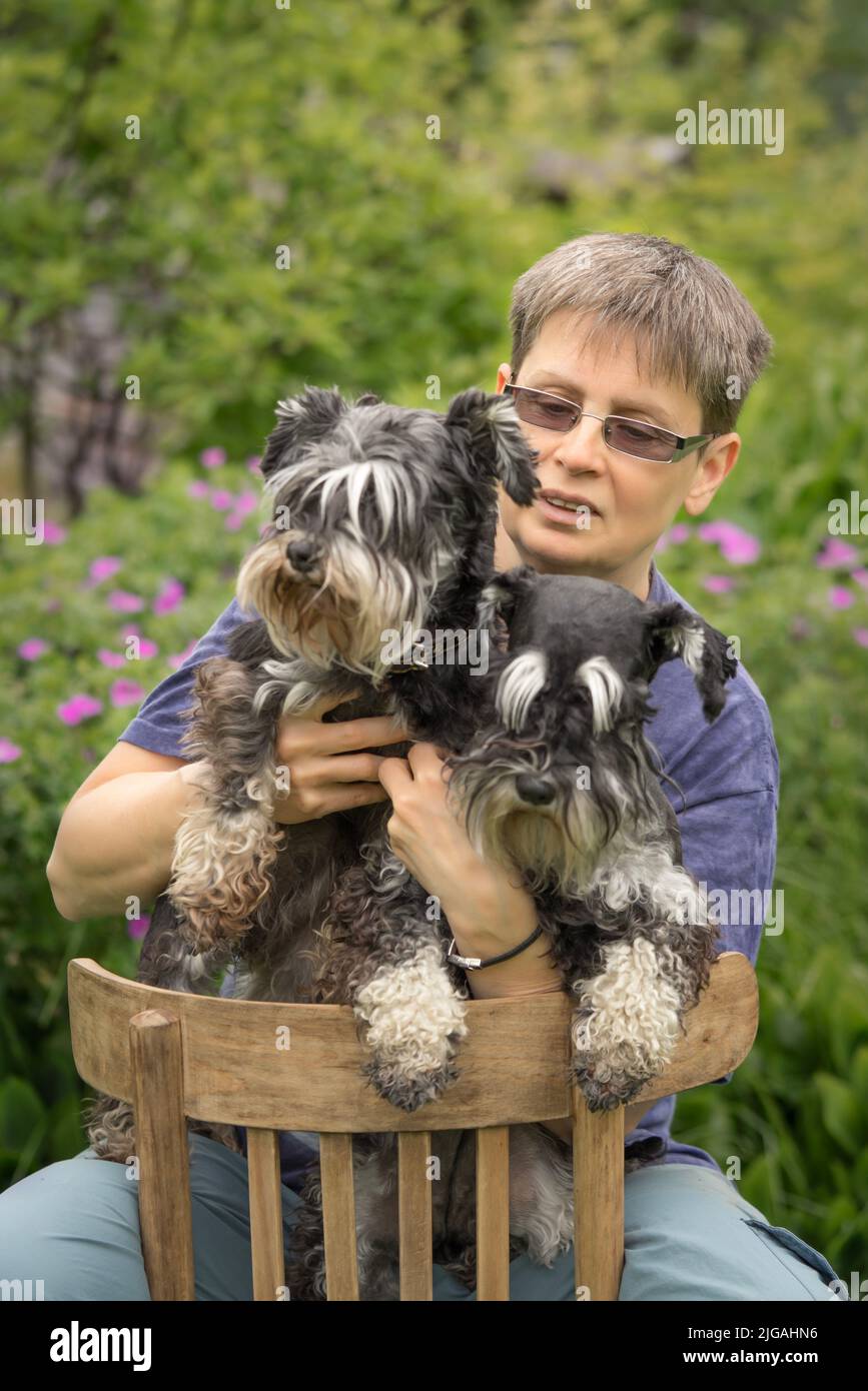 Woman with two miniature schnauzer dogs portrait Stock Photo