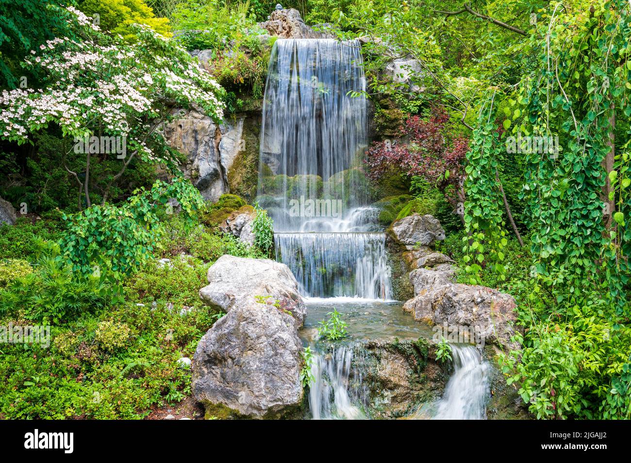 A beautiful view of flowing waterfall falling from rocks surrounded by blooming trees and flowers Stock Photo