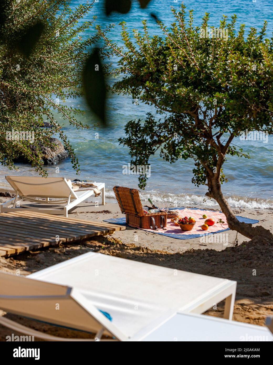 Picnic basket with wine, bread, vegetables, herbs, fruits and cheese on