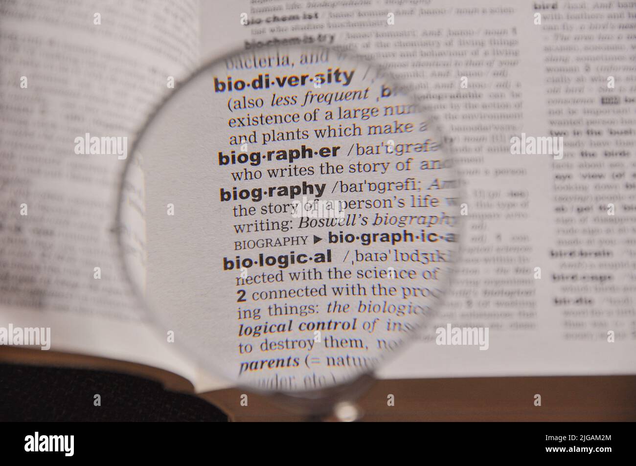 a definition for the word biography