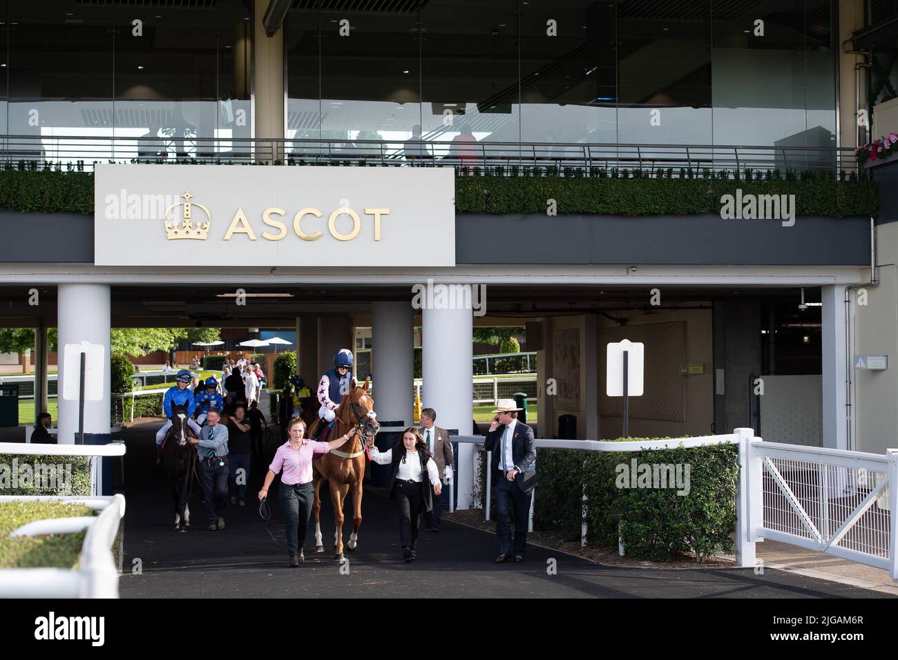 Horse currency hires stock photography and images Alamy