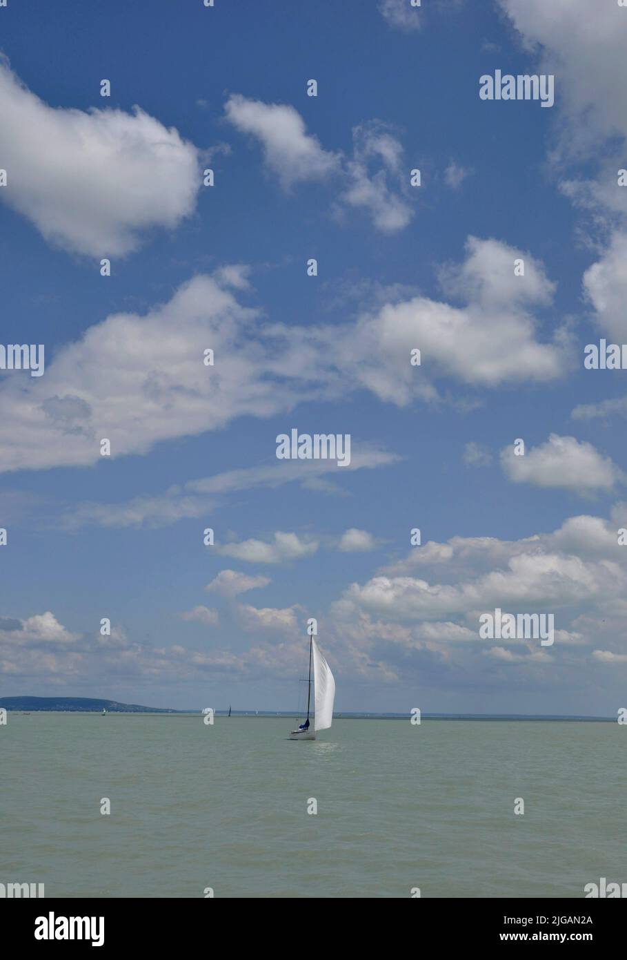 sailing boat at lake balaton,hungary Stock Photo Alamy