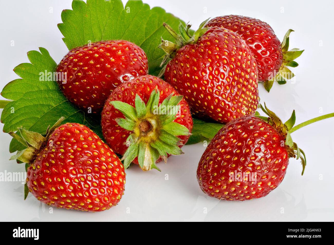strawberries, Fragaria ananassa Duchesne, red fruit on a white background, leaves, stalks, culinary photography, macro, top view, background for proje Stock Photo
