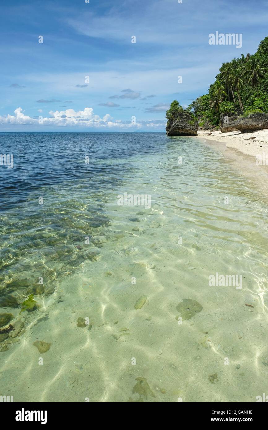 Views of Monkey Beach on Siquijor Island, located in the Central Visayas region of the Philippines. Stock Photo