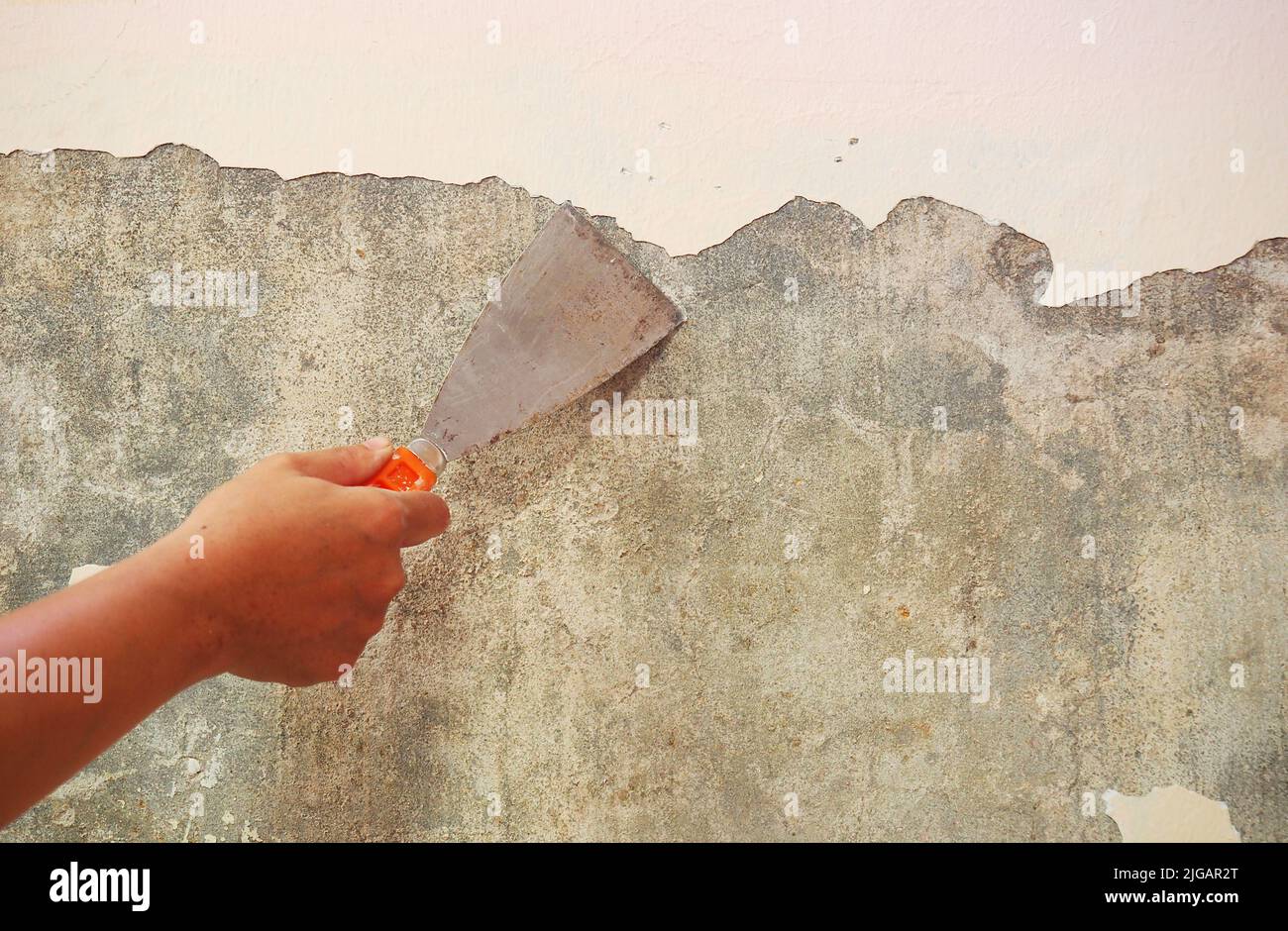 Removing old paint from the old wall by hand with a metal spatula. Painting Preparation at home