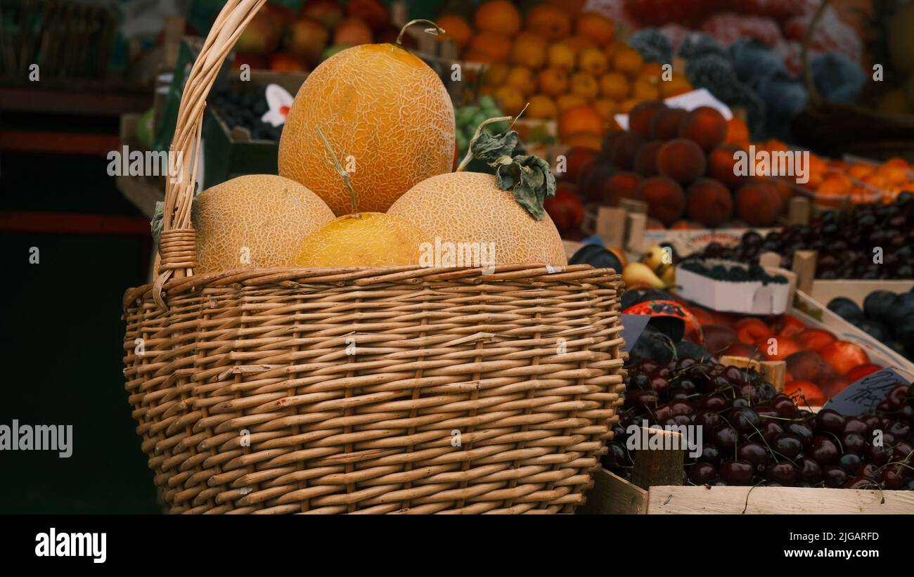 Organic yellow melons int he big basket Stock Photo