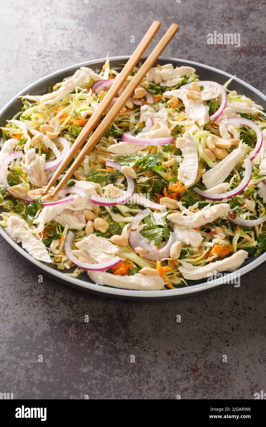 Goi ga salad with shredded chicken, cabbage, fresh cilantro and mint