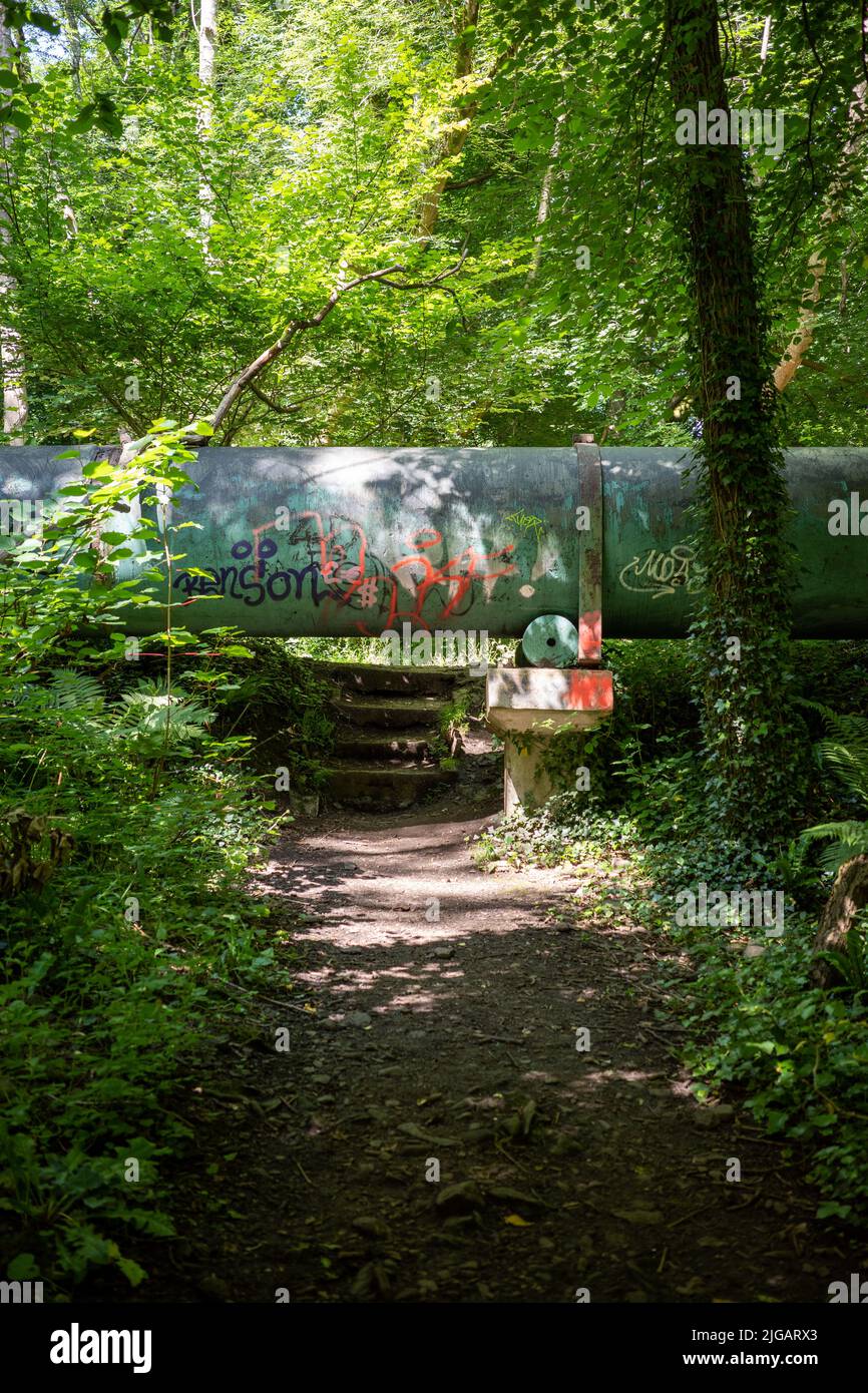 Path under a large green pipe at Hanham Woods, Bristol (Jul22 Stock