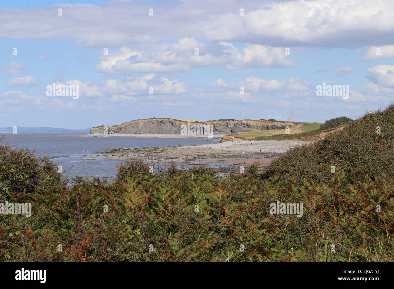 Fossil hunters on the alien landscape of Kilve beach near East Quantoxhead in Somerset, England. The cranes of the construction work at Hinkley point Stock Photo
