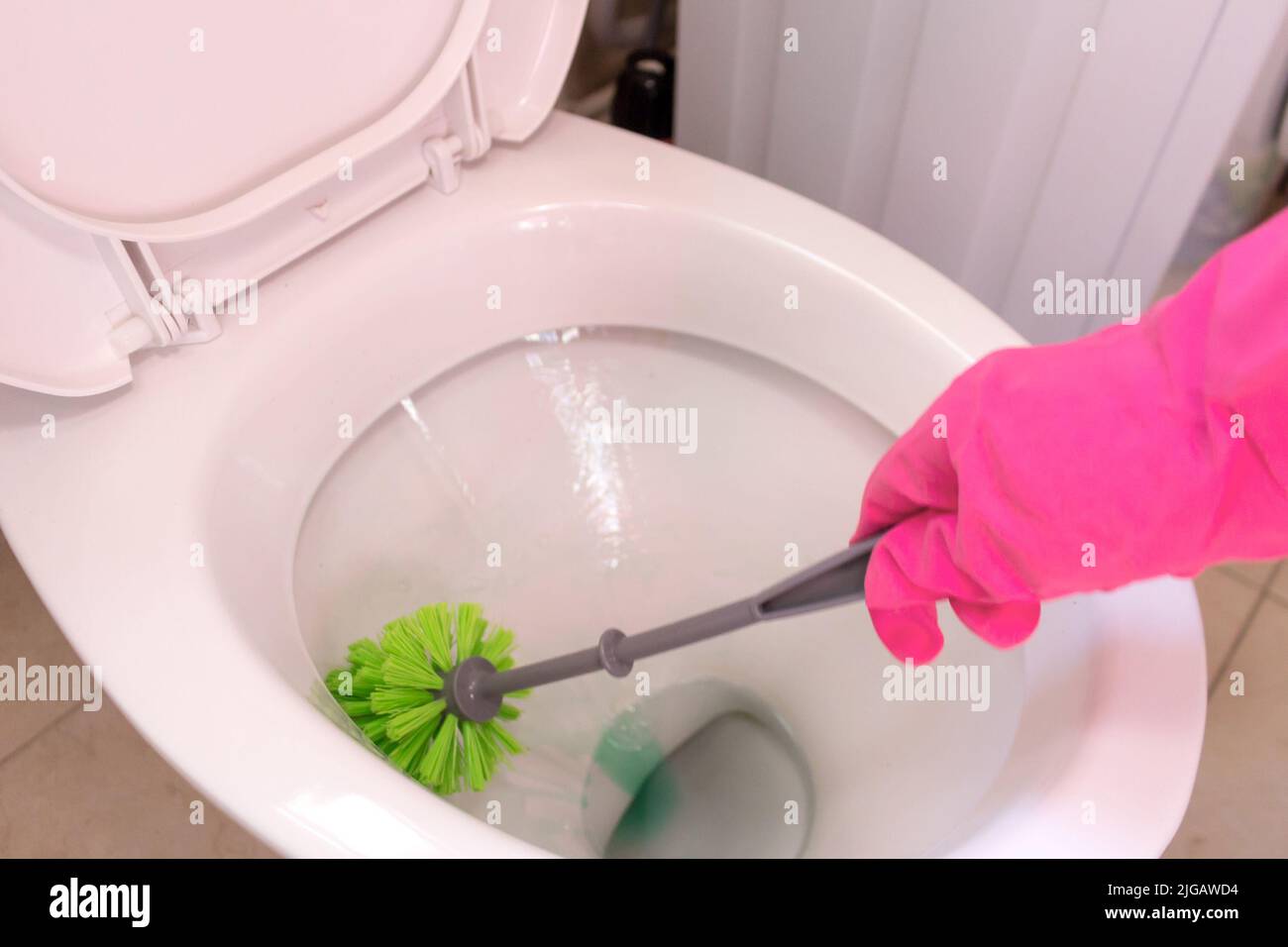 Cleaning the toilet, using a toilet brush, cleaning. Home cleaning and