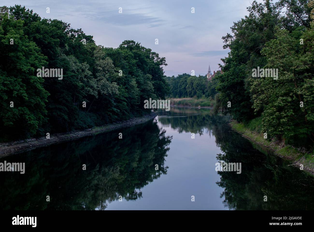 An aerial view of river surrounded by growing lush trees Stock Photo ...