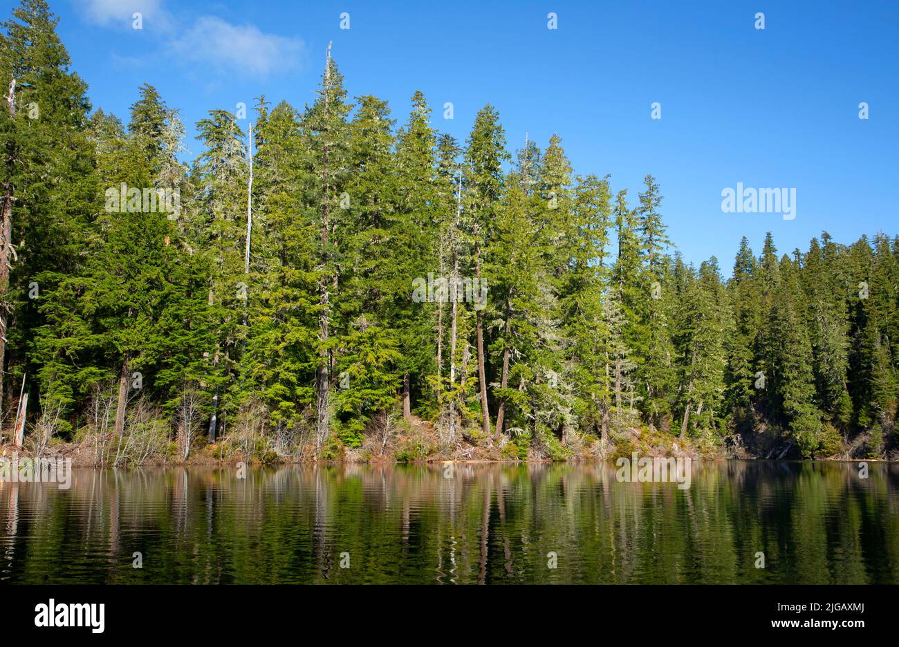 Fish Lake, Willamette National Forest, McKenzie Pass-Santiam Pass National Scenic Byway, Oregon Stock Photo