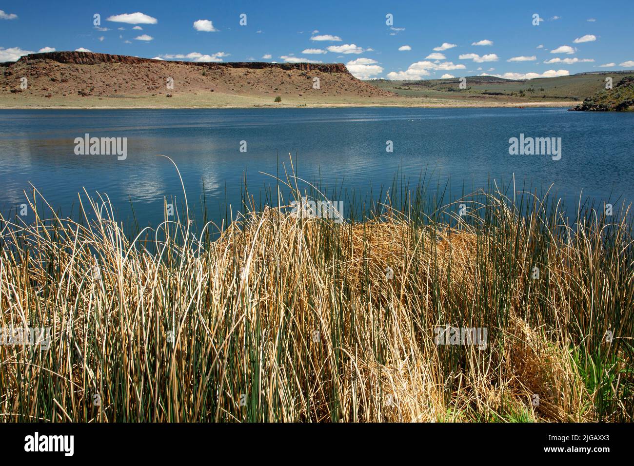 Krumbo Reservoir, Malheur National Wildlife Refuge, Oregon Stock Photo