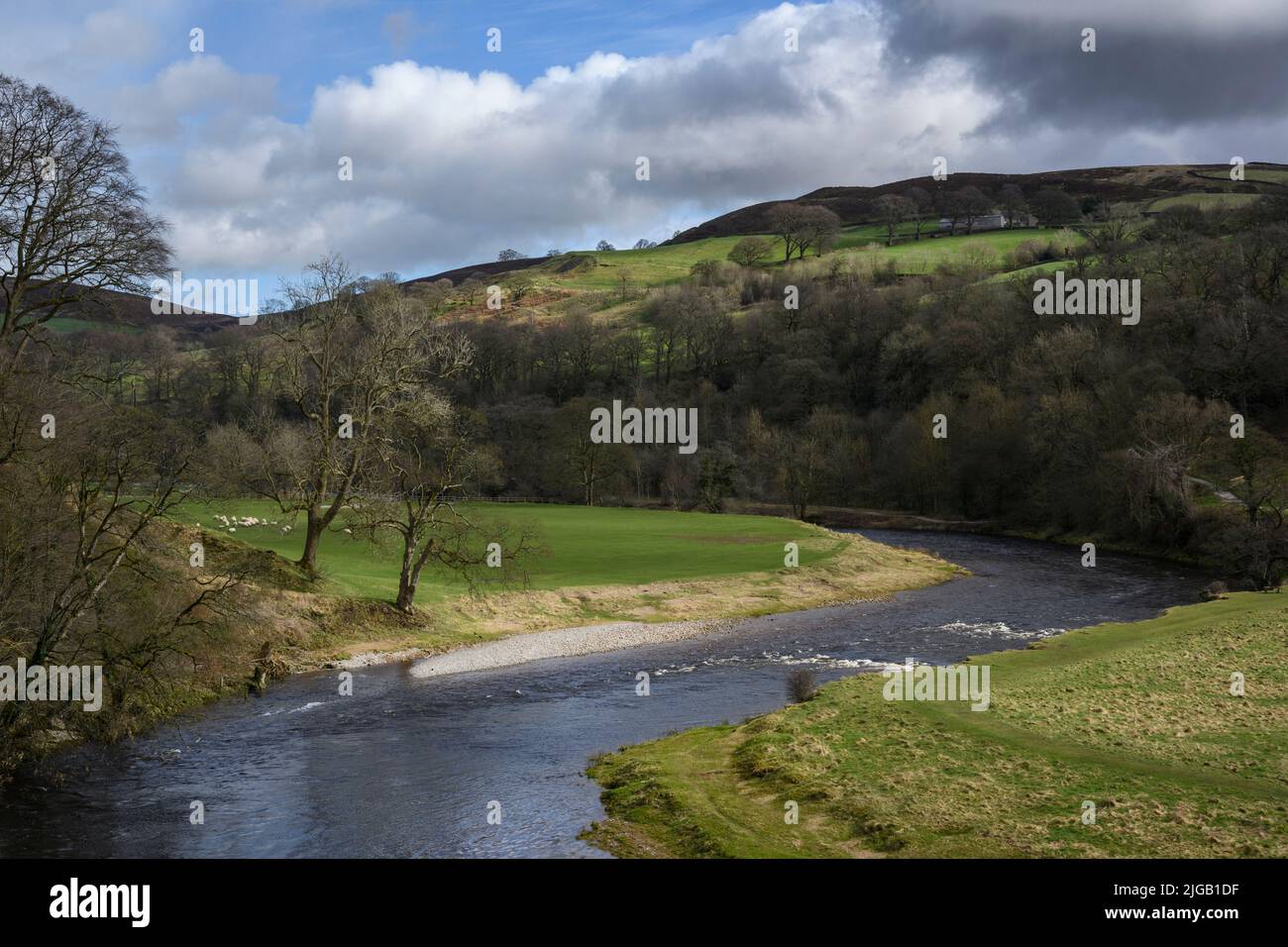 River Wharfe in scenic rural landscape (sloping valley side, sunlit hills, banks of river) - Bolton Abbey Estate, Wharfedale, Yorkshire Dales, GB, UK. Stock Photo