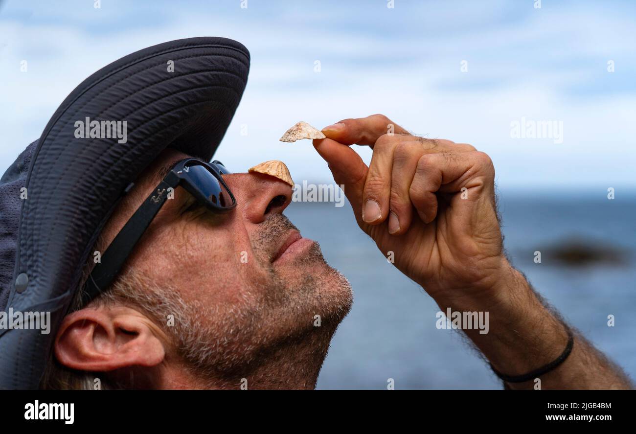 Dunbar, Scotland, UK. 9 July 2022. Day one of the 11th Stone Stacking Championships held at Eye Cave Beach in Dunbar in East Lothian. . Competitors are shown during the arch building competition. Pic; Pedro Duran playfully shows stacking seashells on his nose. Iain Masterton/Alamy Live News Stock Photo