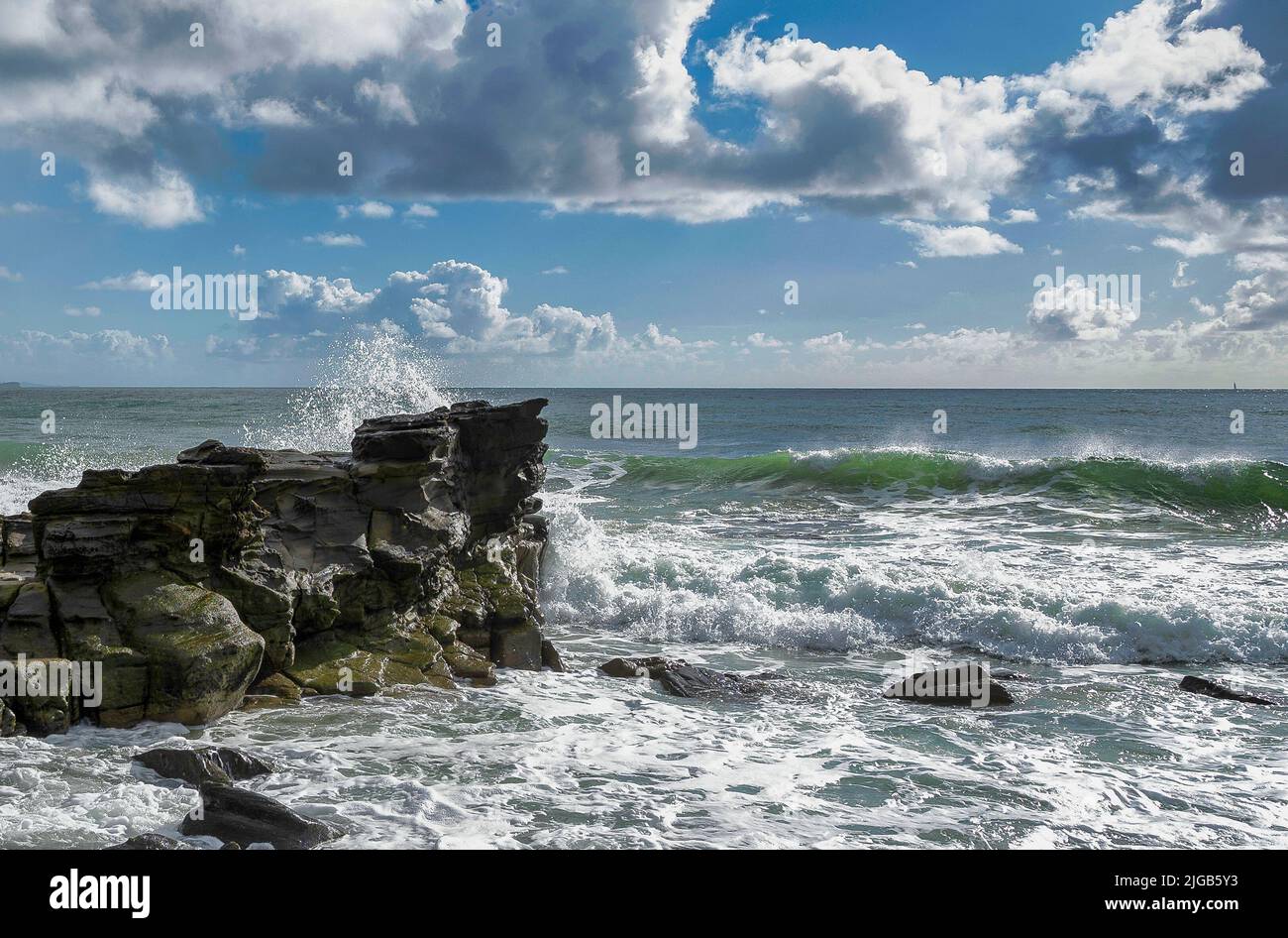 An aerial view of rocky beach in background of growing trees in ...