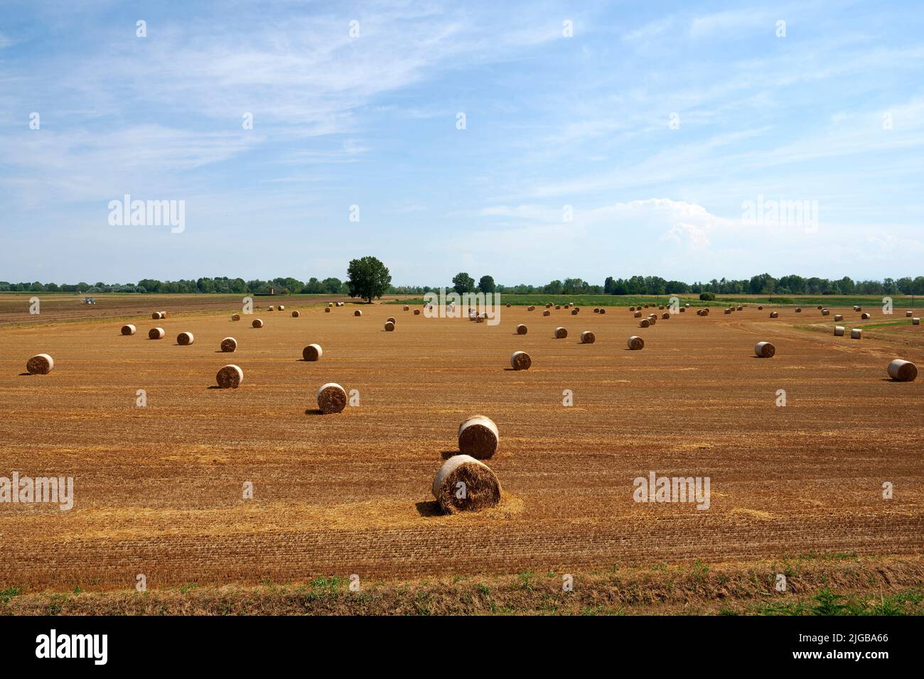 Spinadesco hires stock photography and images Alamy