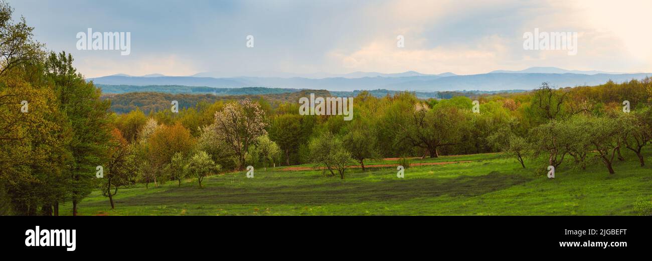 Sky over horizon at carpathian mountains in Ukraine panorama view Stock Photo