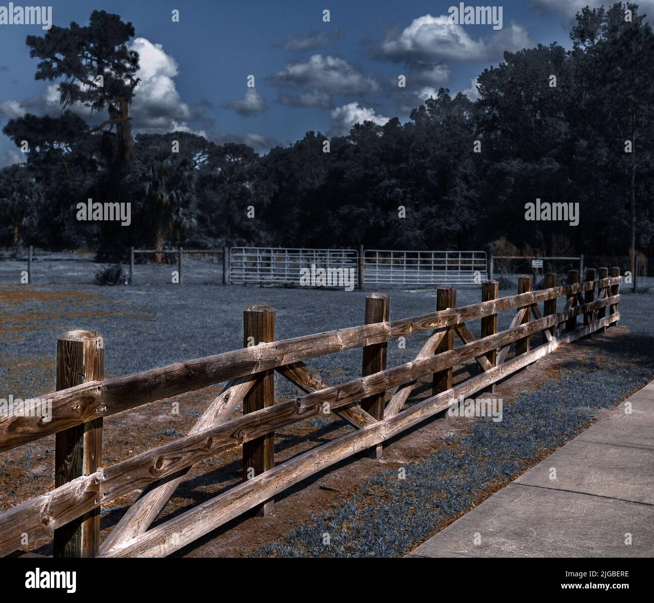 A field with wooden fences surrounded with trees in a farm Stock Photo ...