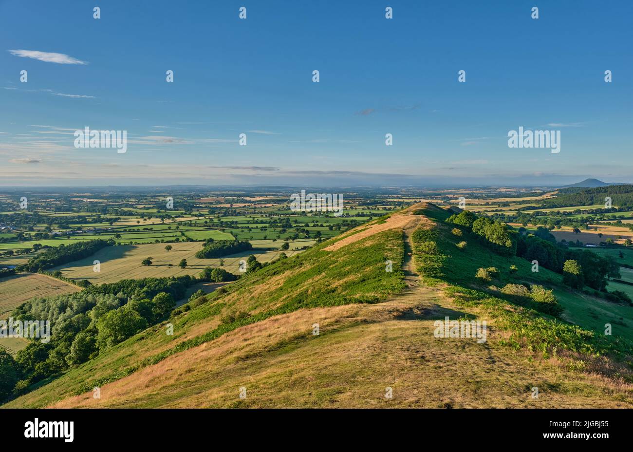The Lawley (looking north across Shropshire Plain with The Wrekin) near Church Stretton, Shropshire Stock Photo