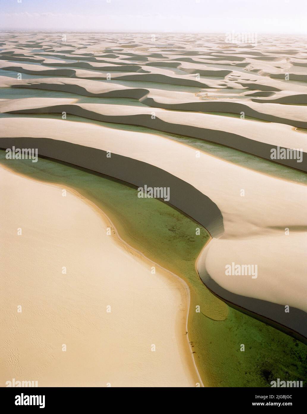 Lencois Maranhenses National Park Brazil Stock Photo Alamy lencois-maranhenses-national-park-brazil-stock-photo-alamy
