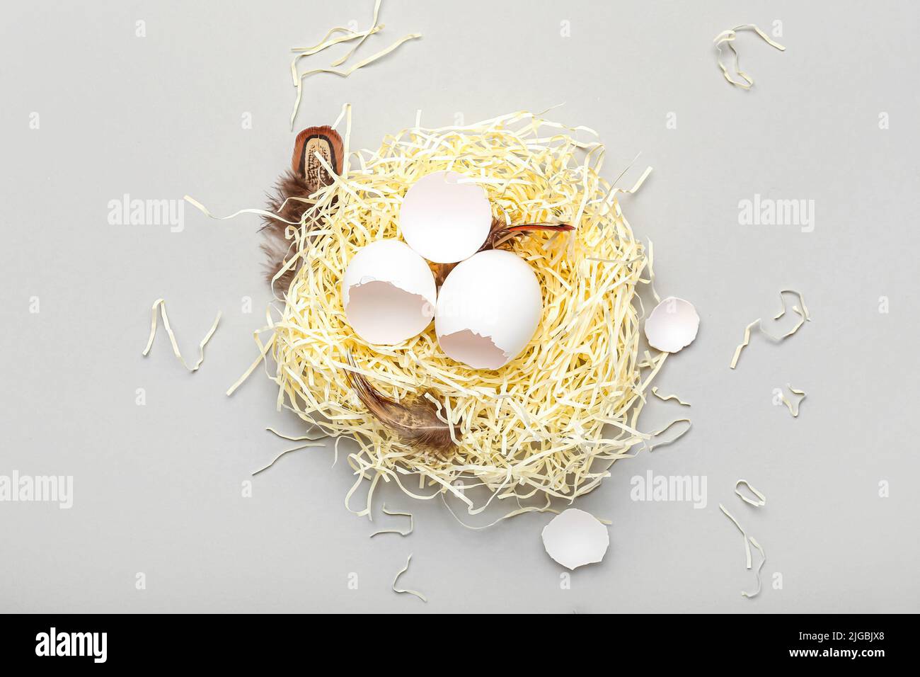 Nest with broken egg shells and feathers on light background Stock ...