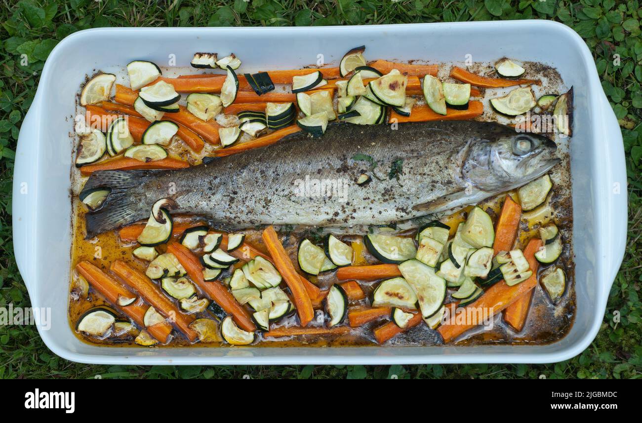 Oven grilled trout with fresh vegetables Stock Photo Alamy