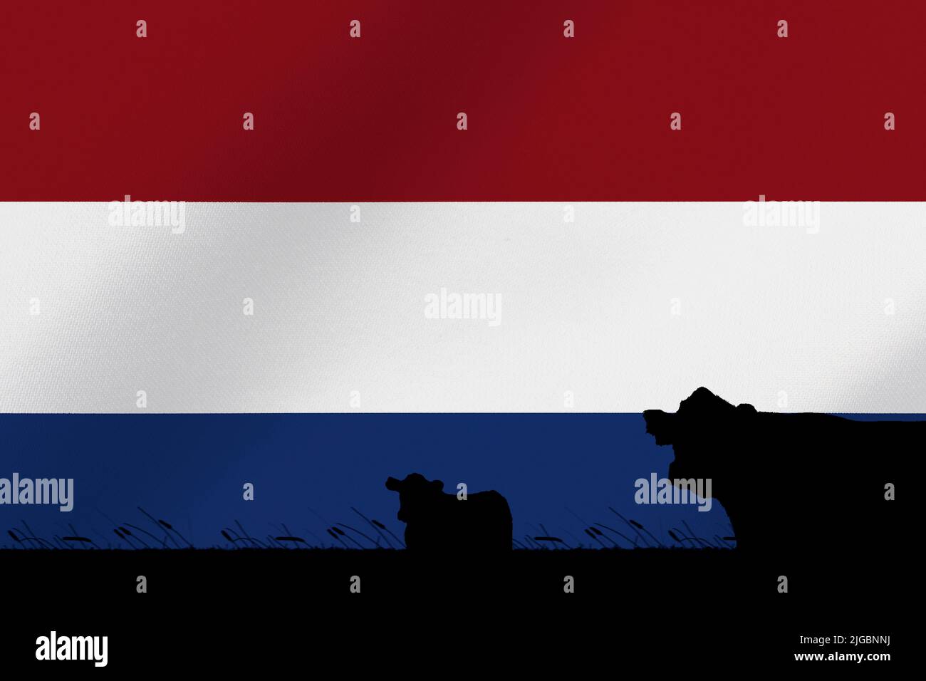 Consumption and production of cattle in countries with the flag of  Netherlands Stock Photo