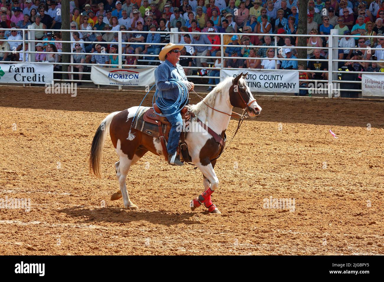 rodeo, man riding horse, holding lasso, job, stands, spectators
