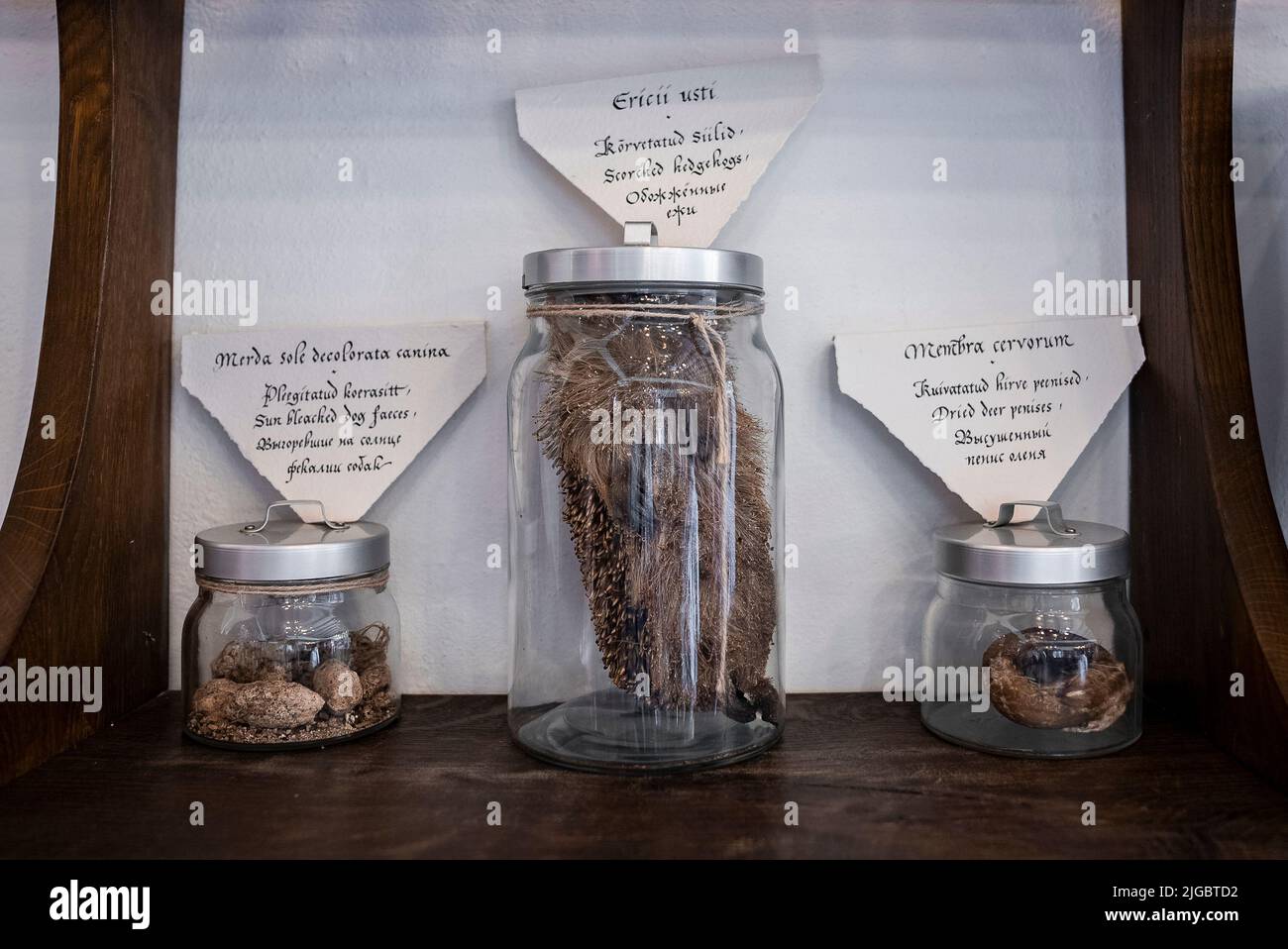 Various objects in jars with labels on shelf at old pharmacy museum in town Stock Photo
