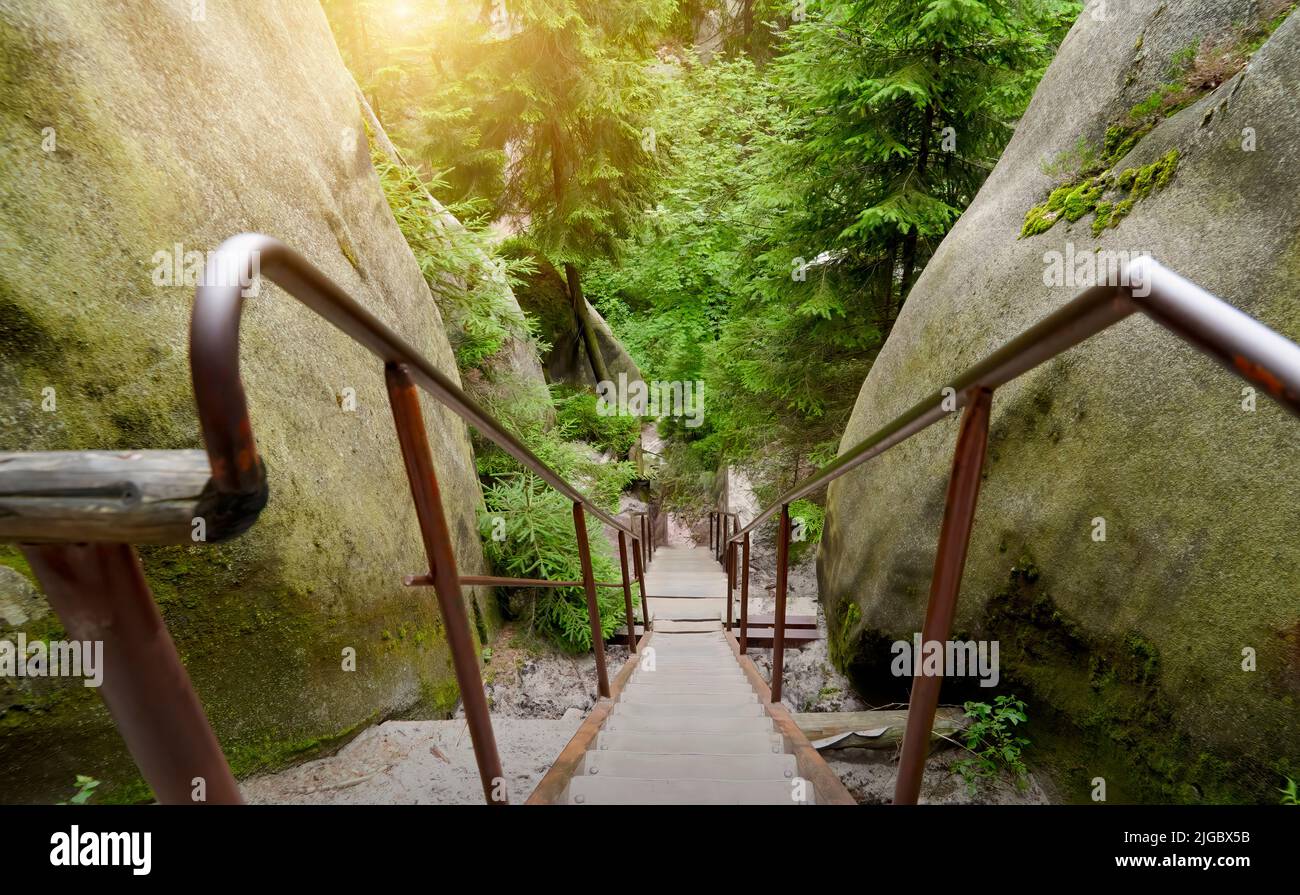 Wooden Steps On A Steep Hillside In The Forest Stock Photo, Picture and  Royalty Free Image. Image 36876055.