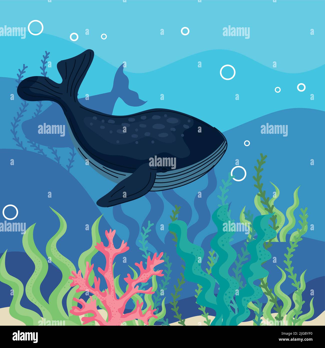 whale and seaweed underwater Stock Vector Image & Art - Alamy