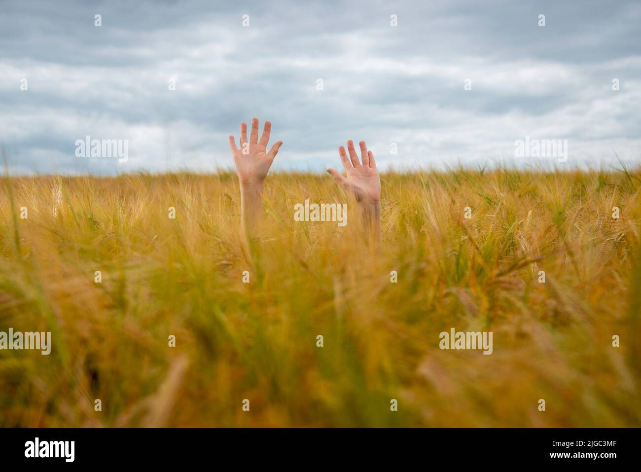 Hands appearing out of a field, concept. Stock Photo