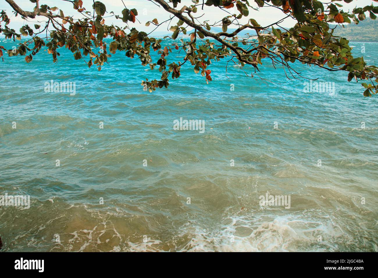 Framed by overhanging tree hi-res stock photography and images - Alamy