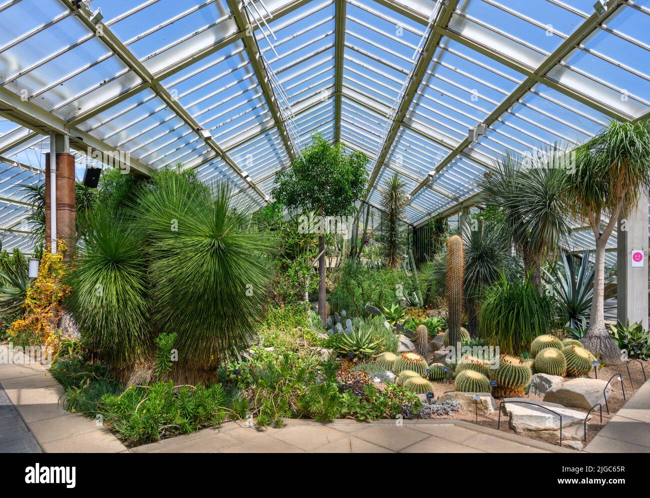 Interior of the Princess of Wales Conservatory, Kew Gardens, Richmond, London, England, UK Stock Photo
