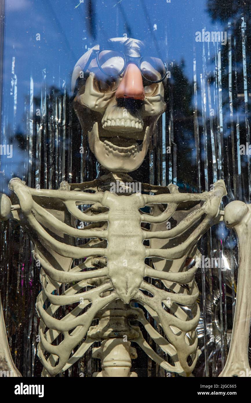 Plastic skeleton with nose glasses in joke shop window display Stock Photo